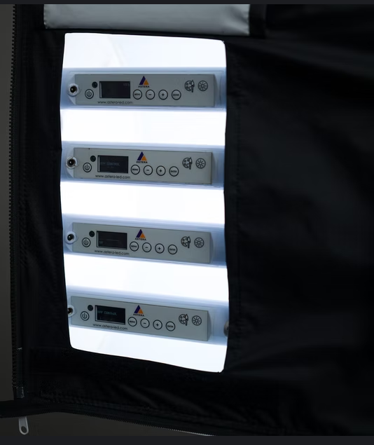 Lightsock Quatro 40 - For Astera Titan Tubes