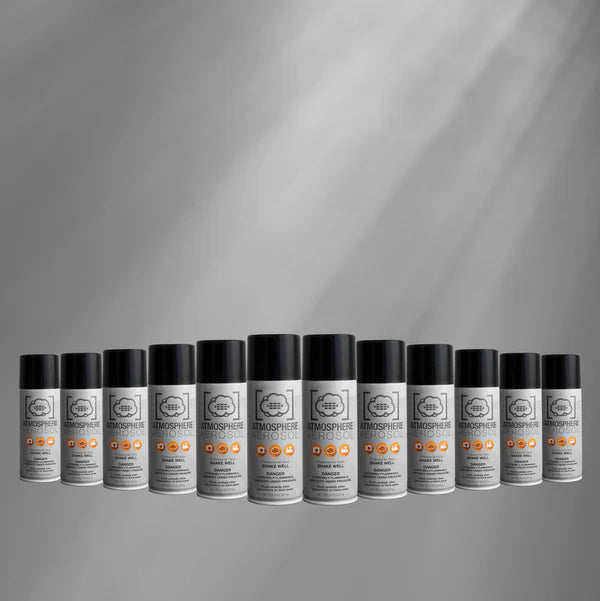 Atmosphere Aerosol 8oz Can