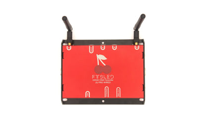 Cerise 2U Pro Wired