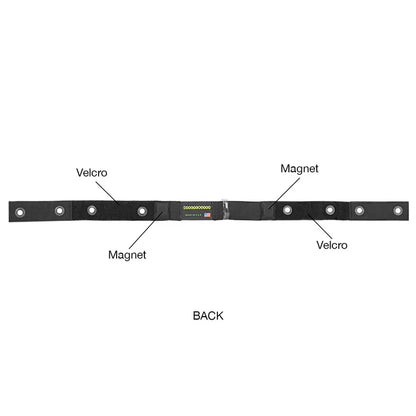 Bee Webb for 2' Astera Helios LED Tube