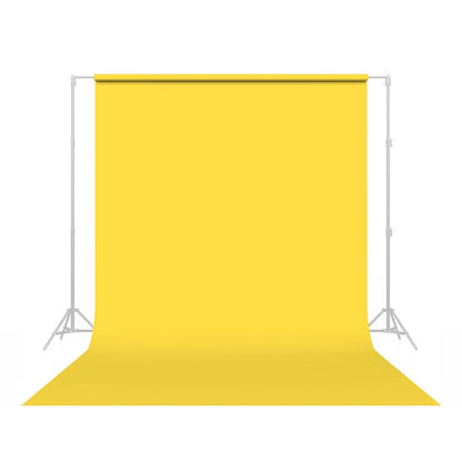 Savage Seamless Paper 107" x 36'