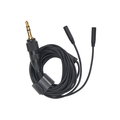 Dual-Head WLP