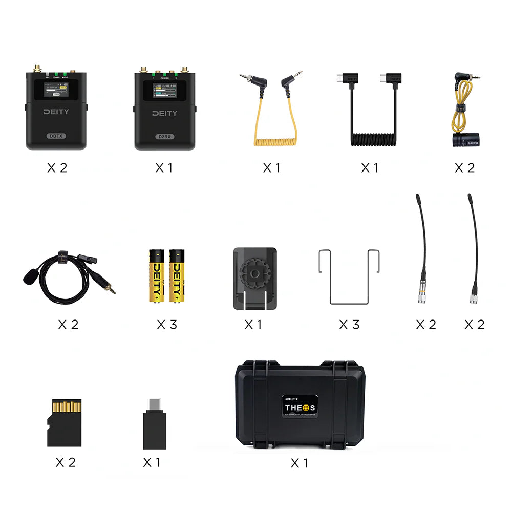 THEOS Digital Wireless 2ch Kit (Global)