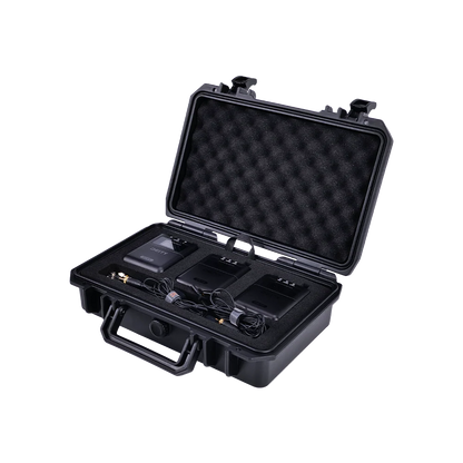 THEOS Digital Wireless 2ch Kit (Global)